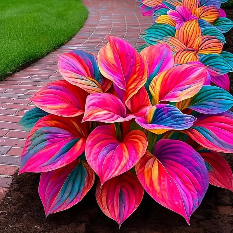 /69a682c6efdc0a000987a9ba/2026/04/14/product-img-69ddee0af707c0639afa49fc.png